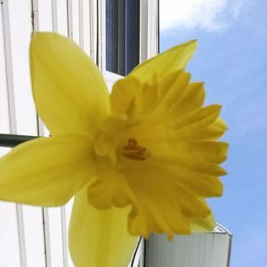 Meet your Posher, Deann